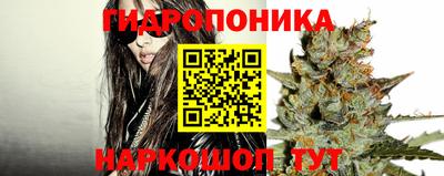 ALPHA PVP Гусев