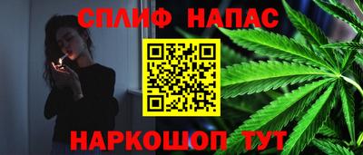 ECSTASY Будённовск