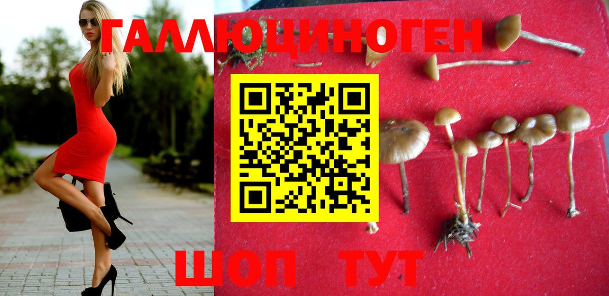 Калач-на-Дону  Псилоцибиновые грибы GOLDEN TEACHER  Вход с VPN 