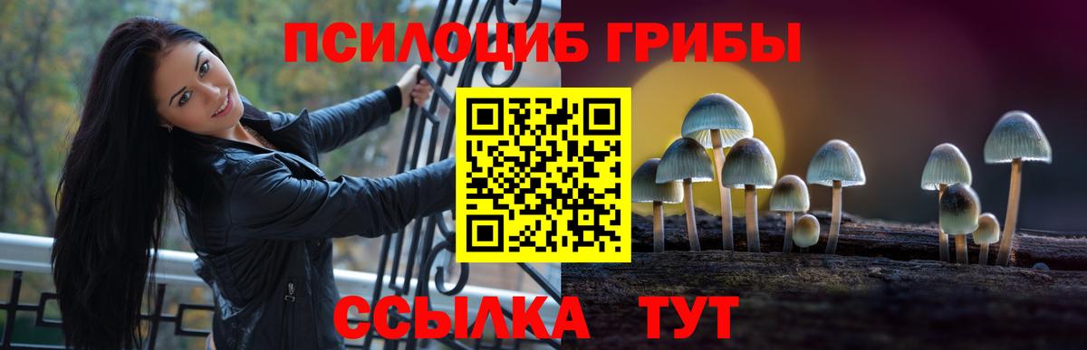 Галлюциногенные грибы мицелий Калач-на-Дону